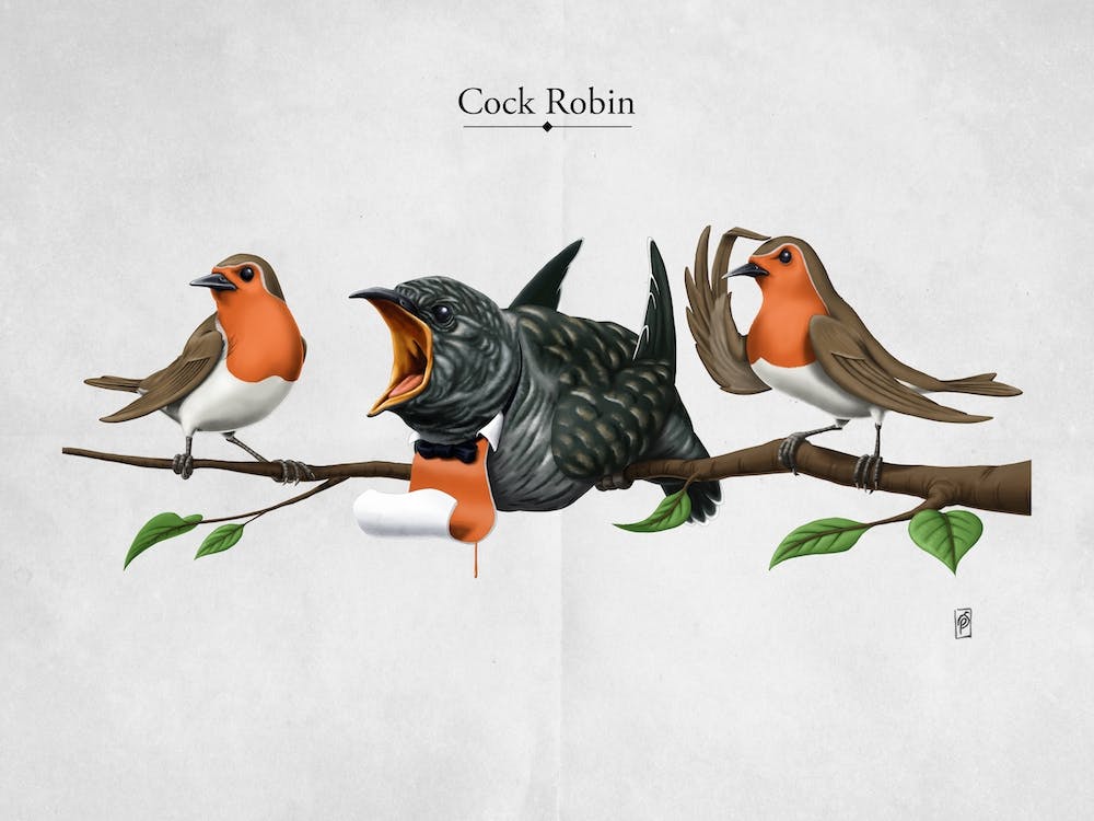 Cock Robin