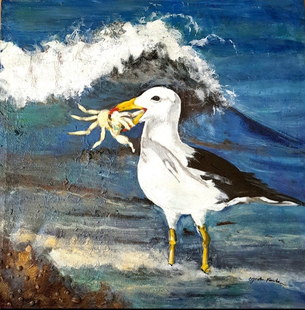 Seagull With Crab