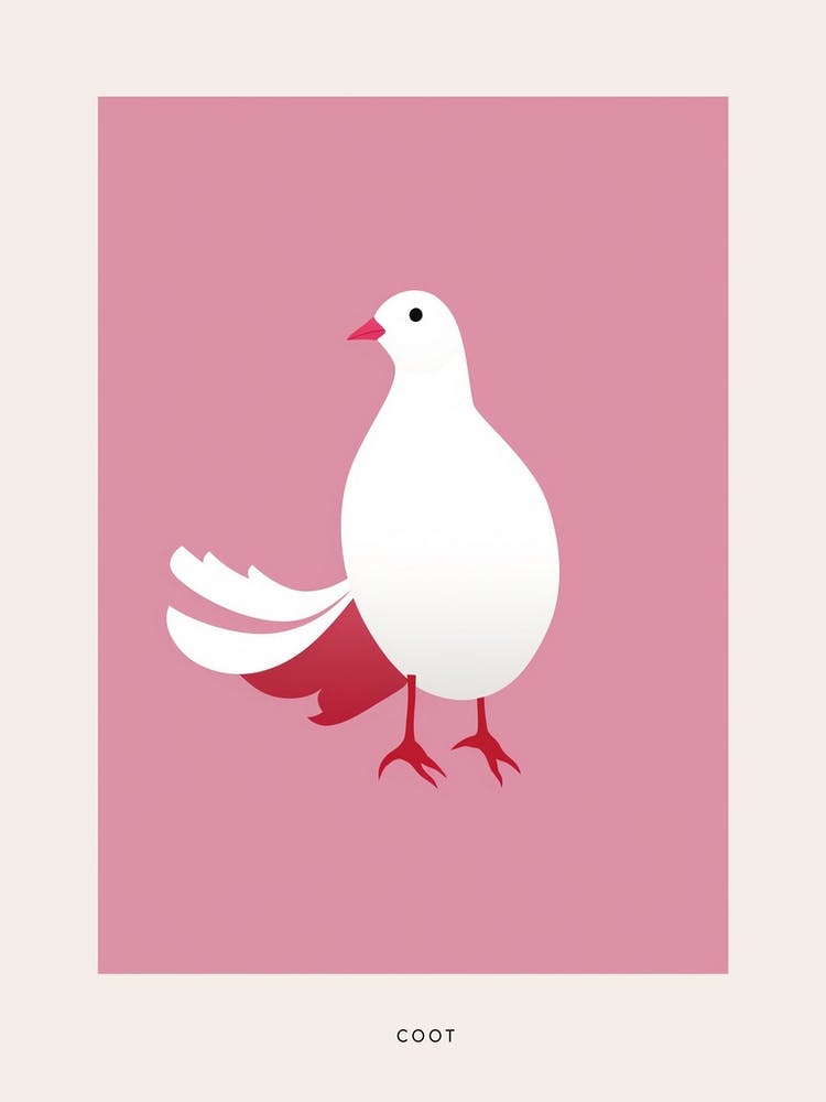 Minimalist Coot 1 Bird Poster
