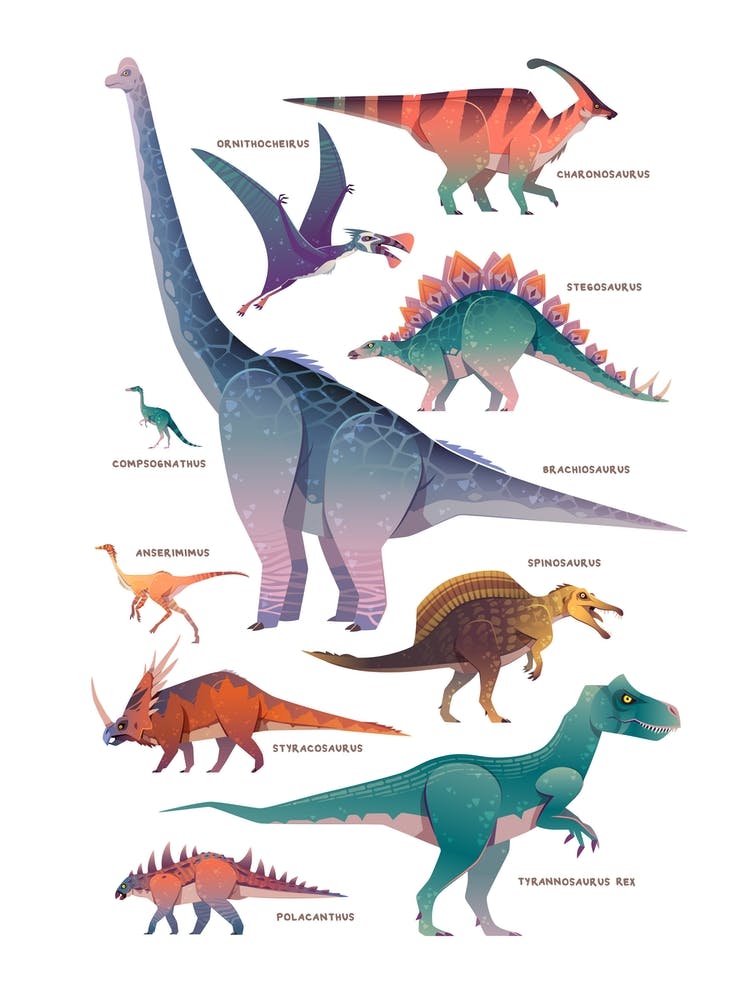Dinosaurs Kids Room