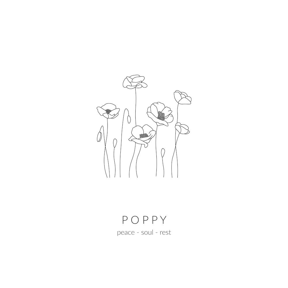 Poppy Birth Flower Square