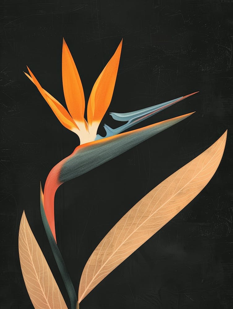Bird Of Paradise Canvas Art