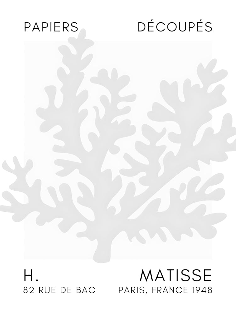 H Matisse 31
