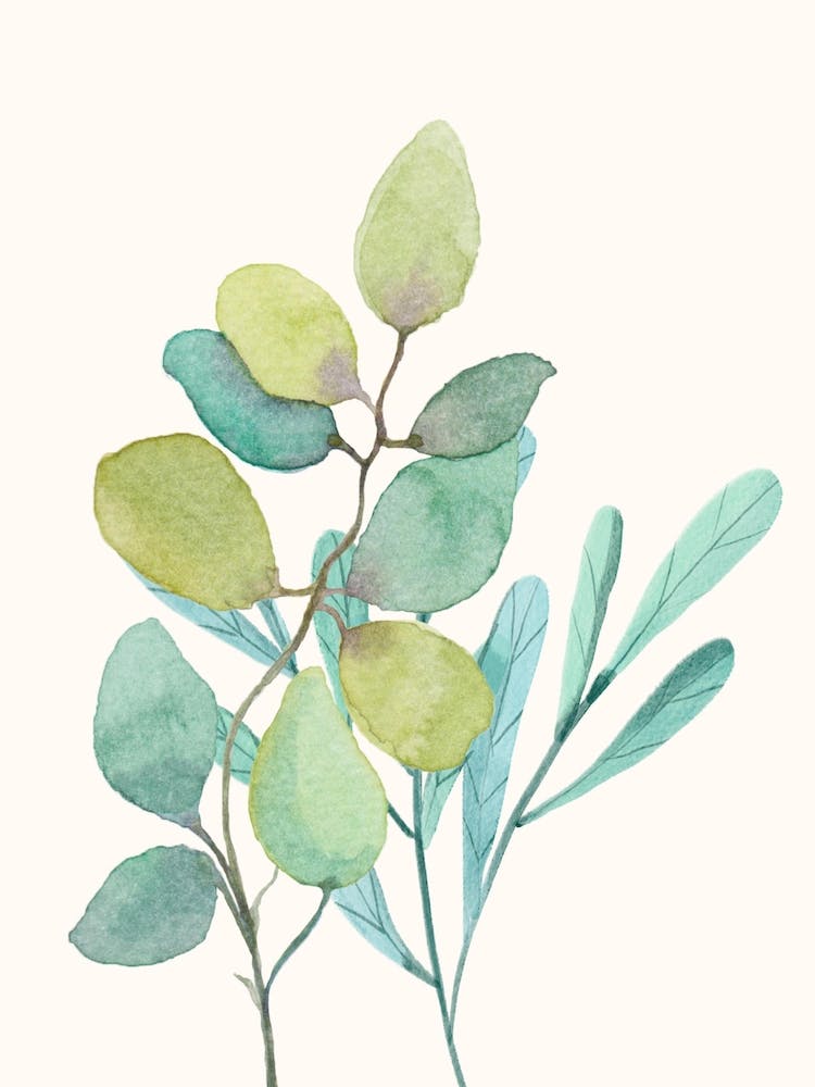 Eucalyptus Watercolor Painting