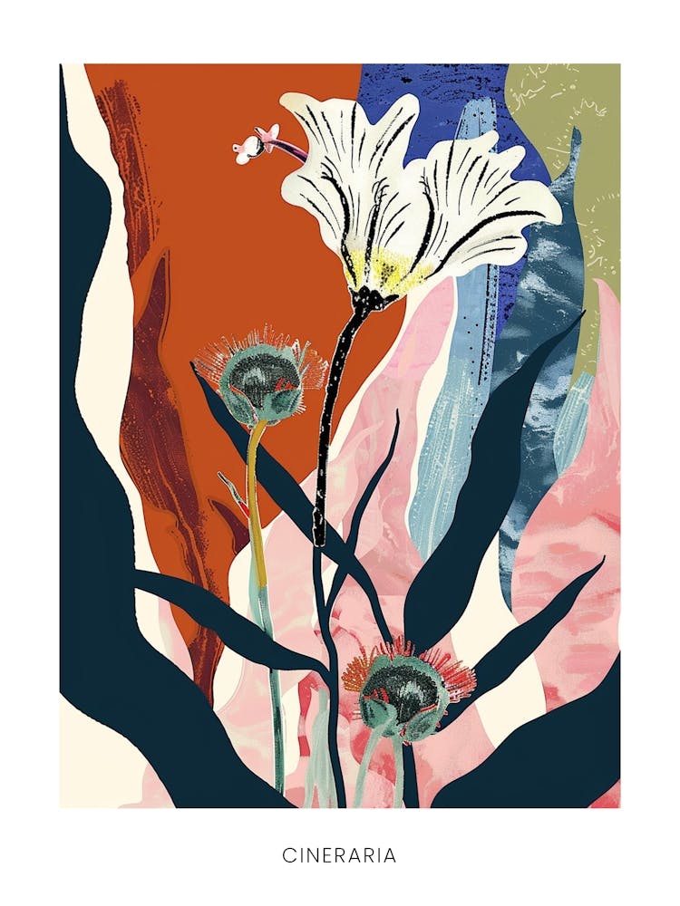 Colourful Flower Illustration Poster Cineraria 2