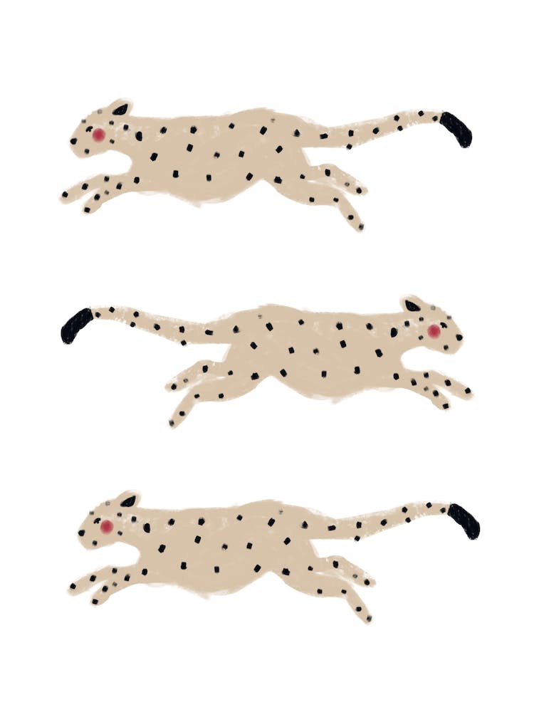 Leaping Leopards