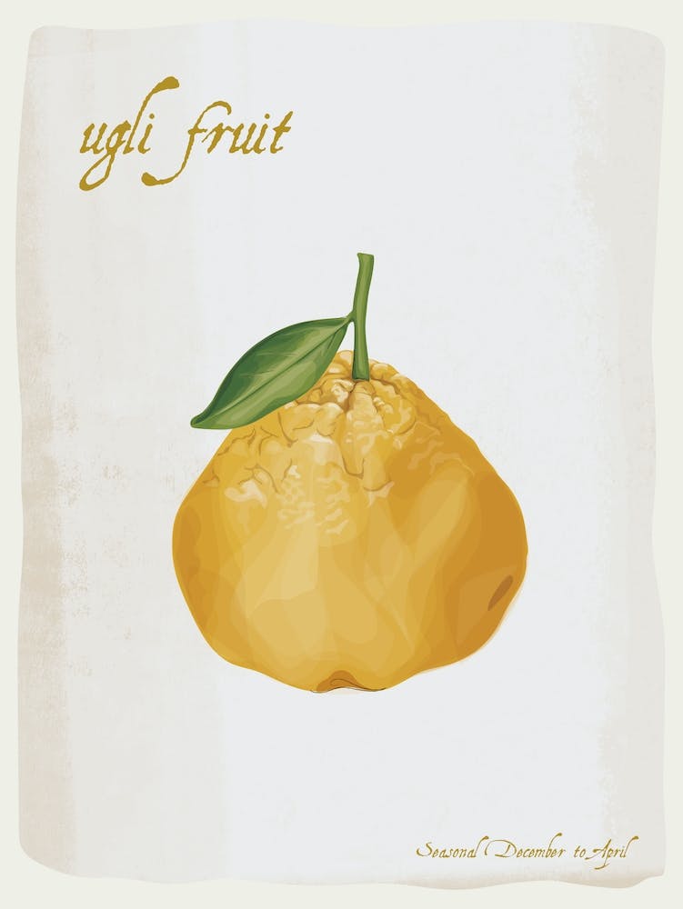 Ugli Vintage illustration Print