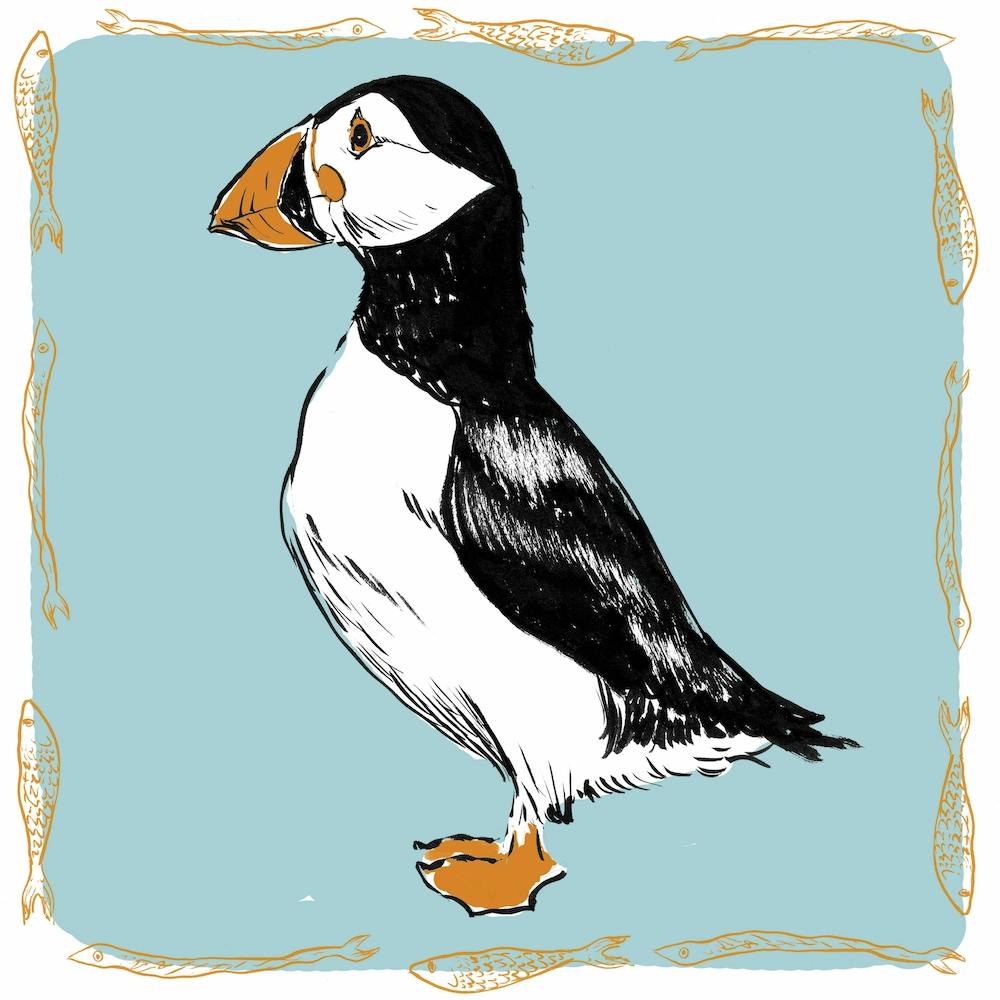 Puffin Square