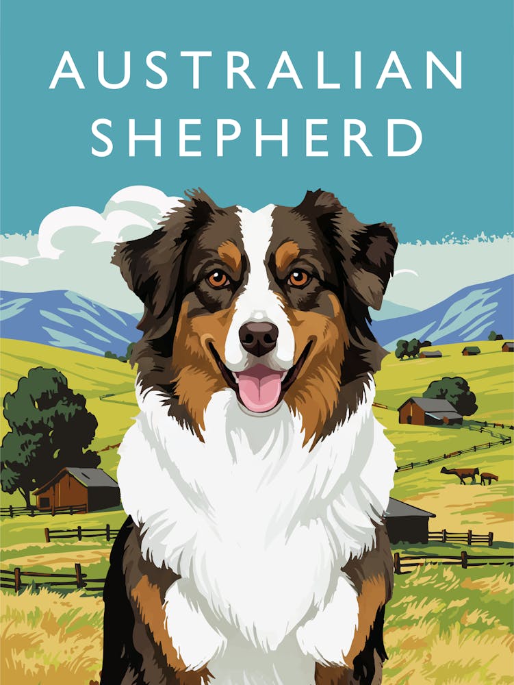 Australian Shepherd