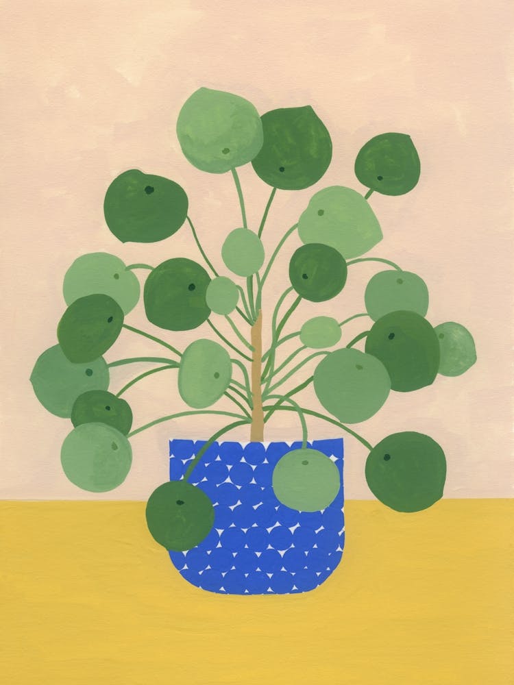 Chinese Money Plant Houseplant Blue Pot Painting
