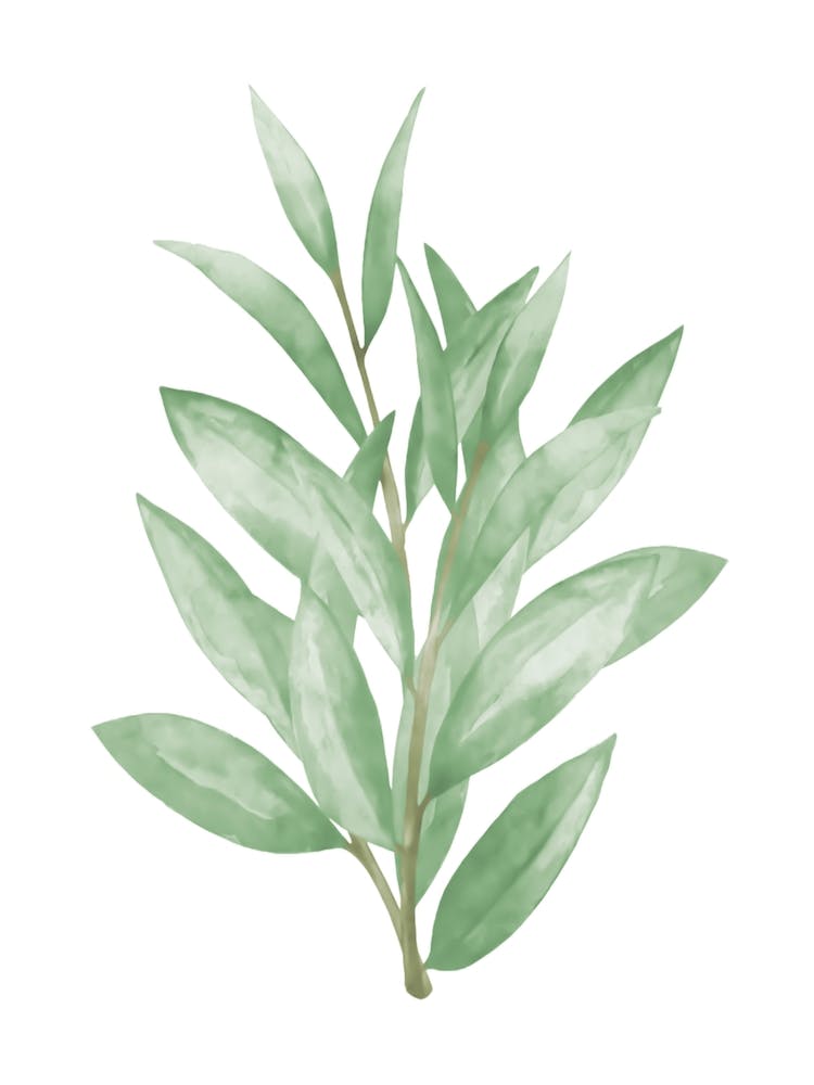 Watercolor Green Leaves