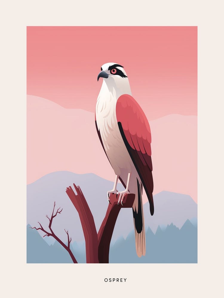 Minimalist Osprey 3 Bird Poster
