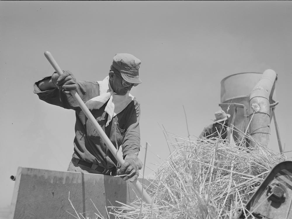 Worker At The Hay Chopper At The Casa Grande Valley Farms, Pinal County, Arizona By Russell Lee