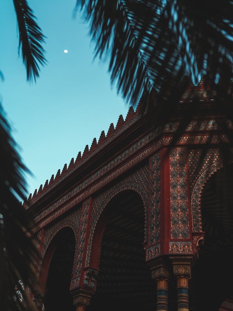 Palm Trees In The Kiosk