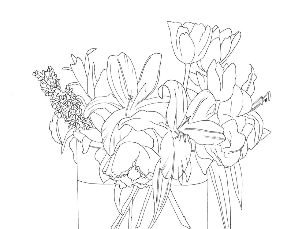 Dying Lillies- Line Drawing
