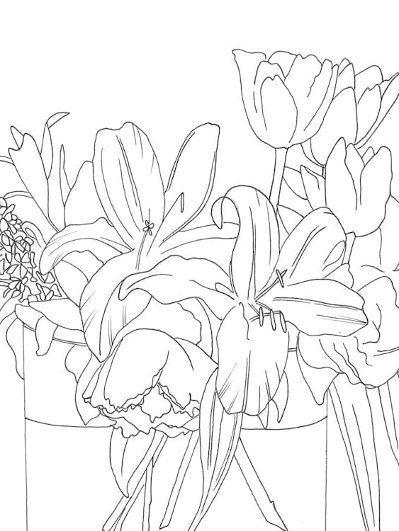 Dying Lillies- Line Drawing