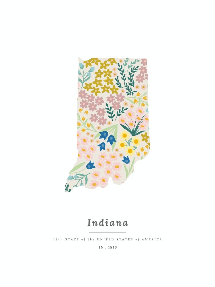 Indiana | Wildflower Mix