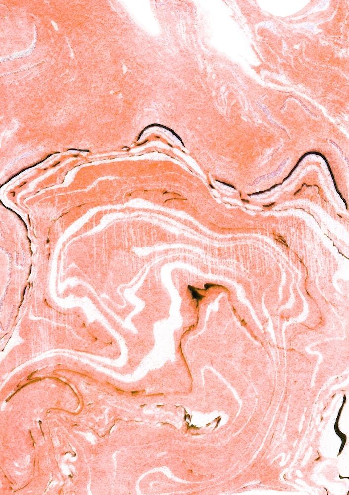 Coral Blush Marble