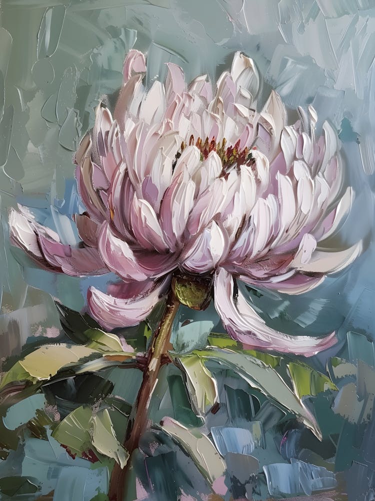 Chrysanthemum