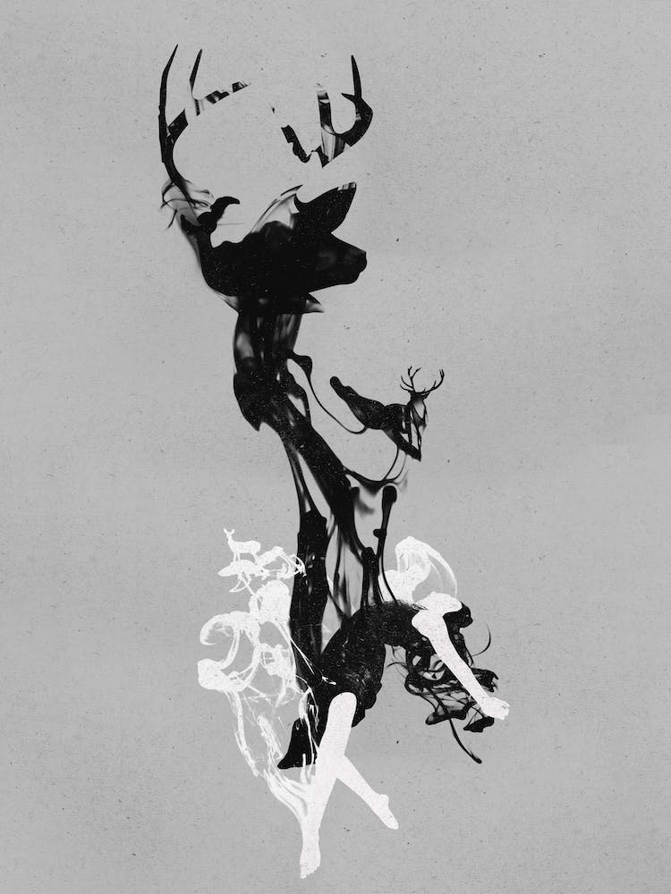 Last Time I Was A Deer