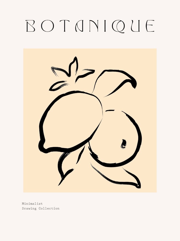 Botanique 5