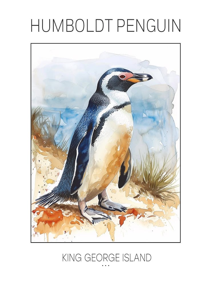 Humboldt Penguin King George Island Watercolour Painting 3 Poster