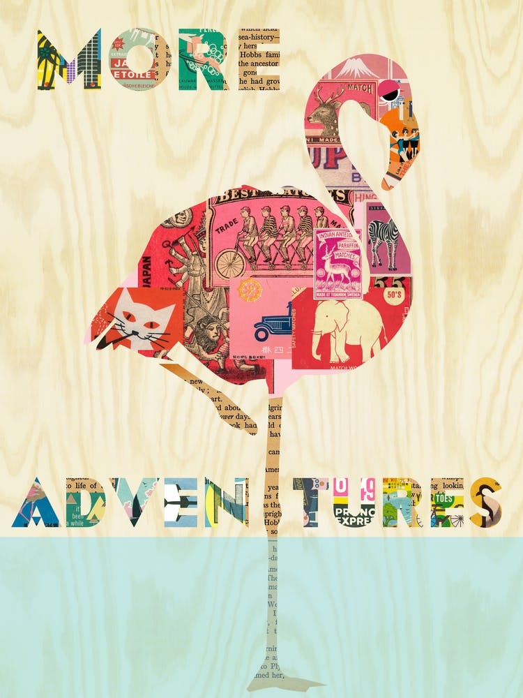 More adventures
