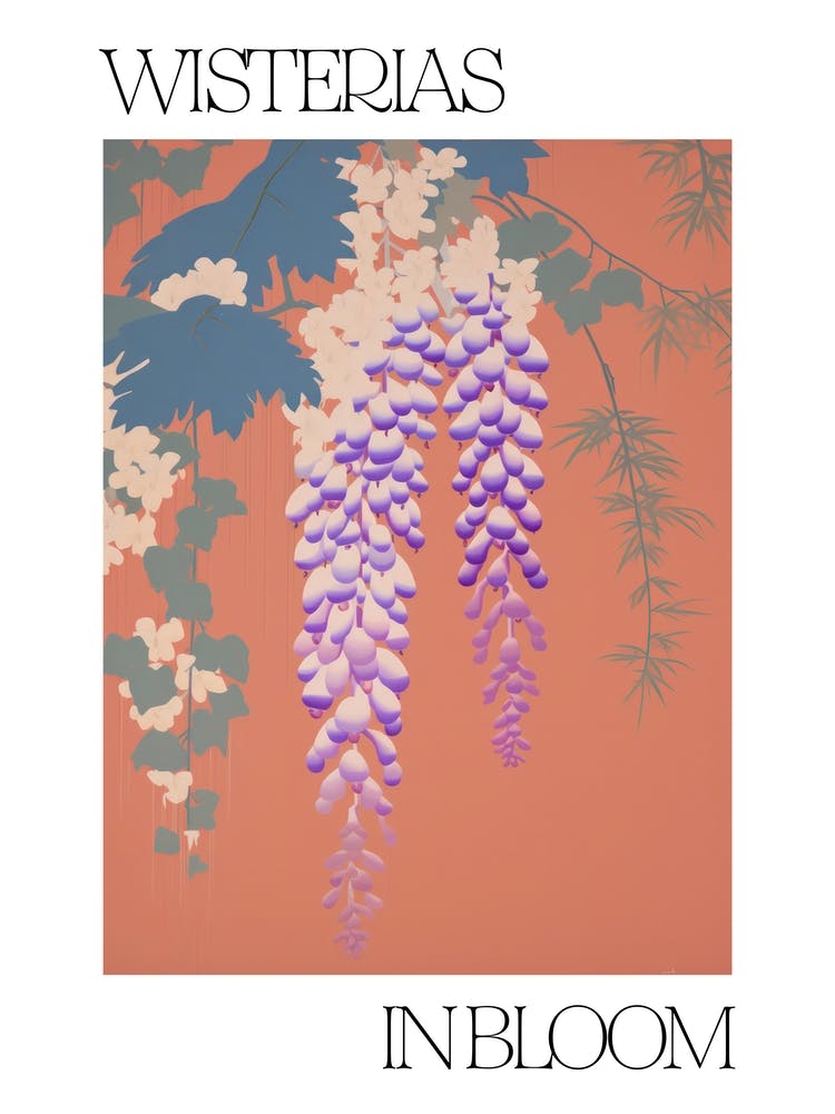 Wisterias In Bloom Flowers Bold Illustration 3