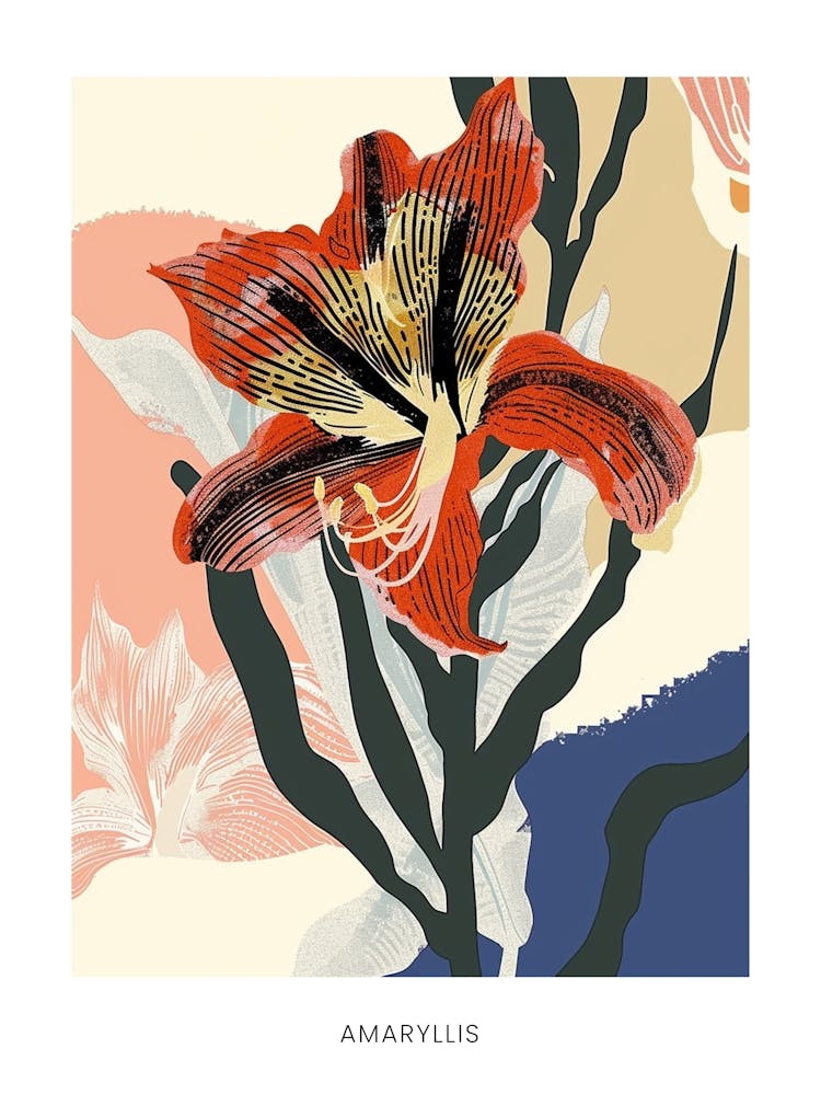 Colourful Flower Illustration Poster Amaryllis 5