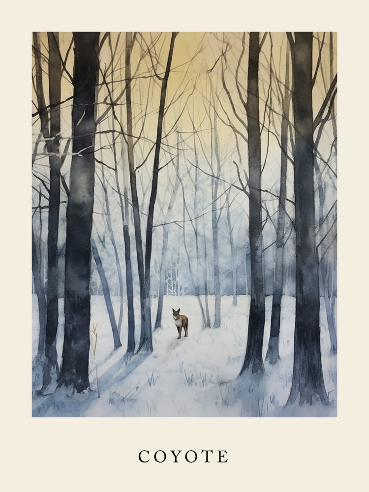 Winter Watercolour Coyote 1 Poster