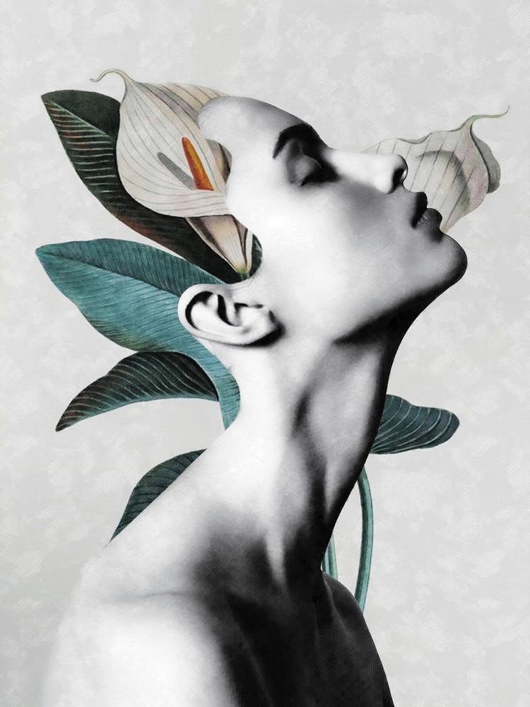 Beauty And Lilies