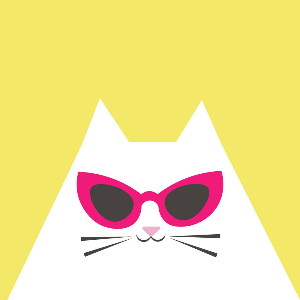 Katze mit Sonnenbrille