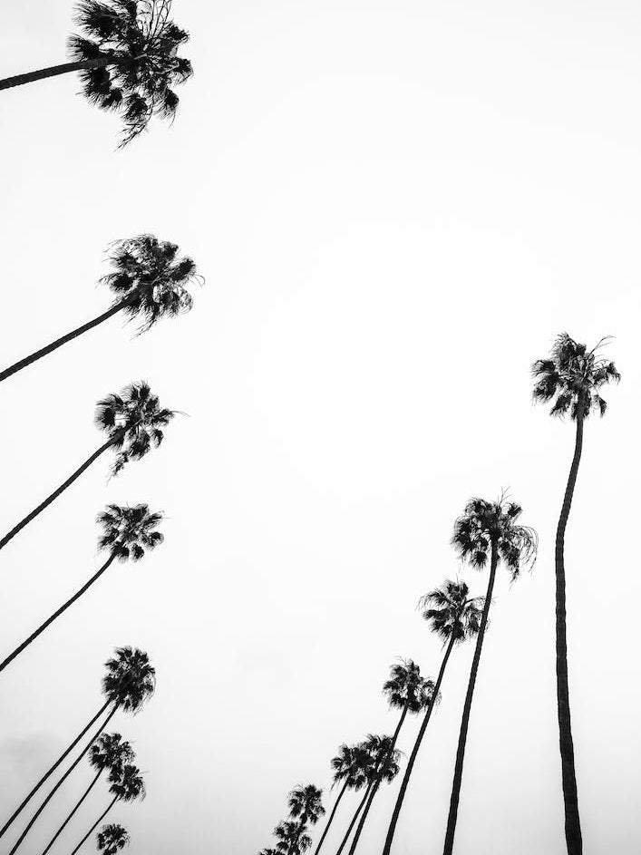 Cali Cathedrals 03