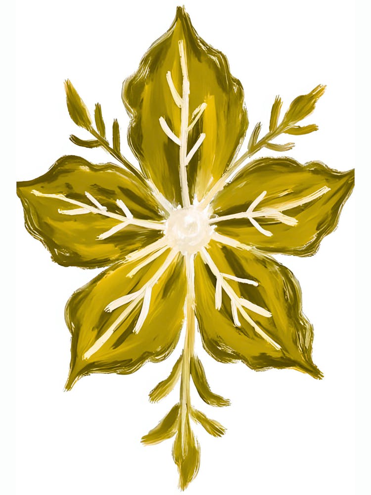 Poinsettia 1