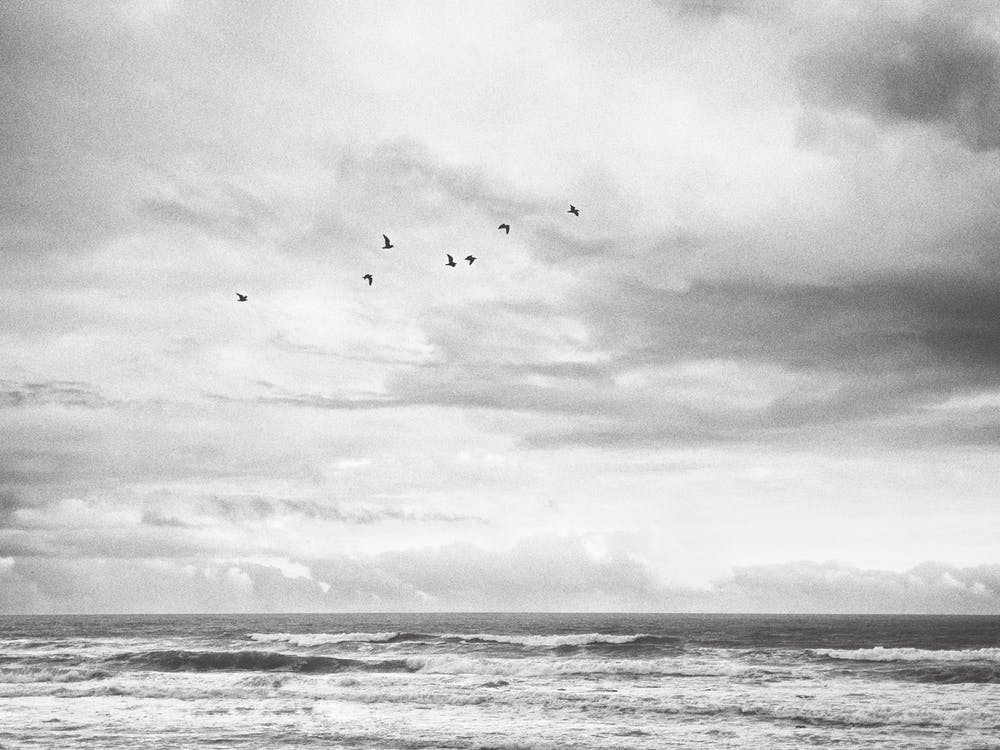 Mesmerized By The Ocean Monochrome