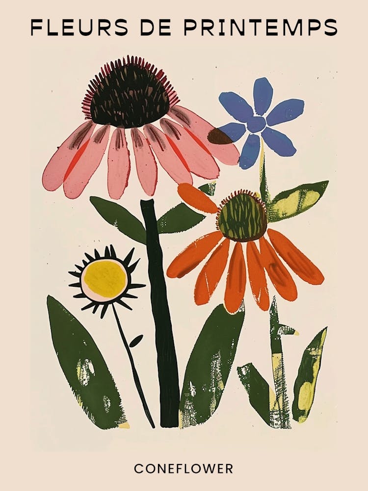 Spring Floral French Poster  Coneflower