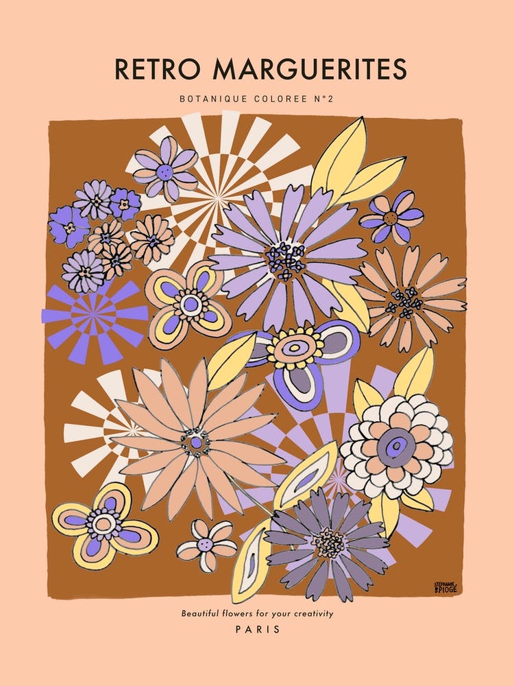 Botanic Collection - Peach Fuzz - Retro Marguerites Daisy