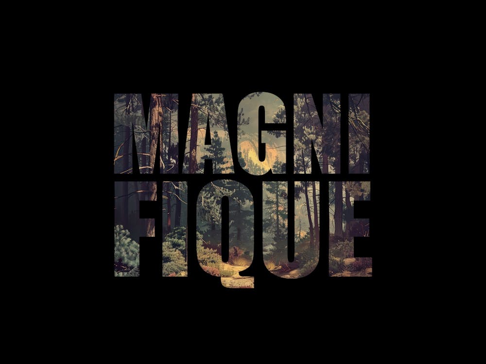 Magnifique Poster Retro Mountains 8