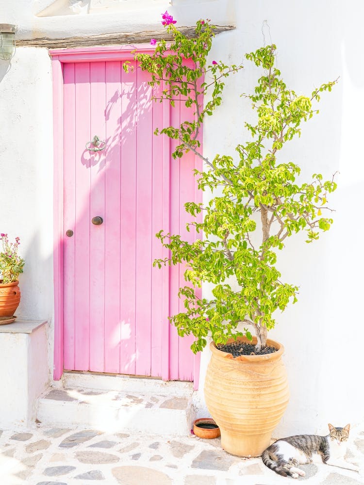 Rustic Pink Door In Paros