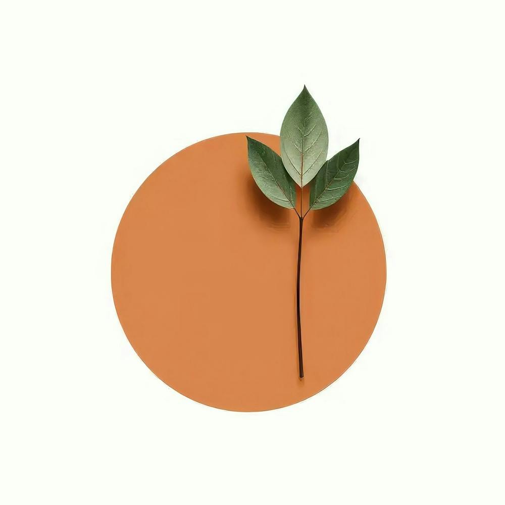 Leaf On A Circle