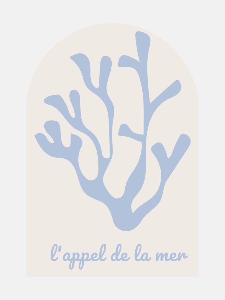 Coral De La Mer Parchment
