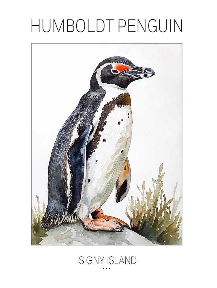Humboldt Penguin Signy Island Watercolour Painting 4 Poster