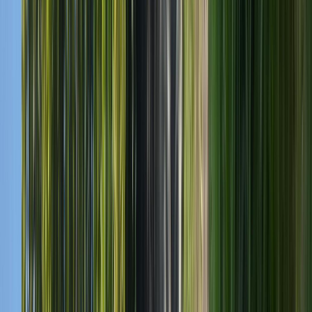 The Stripes Of The Day · Green