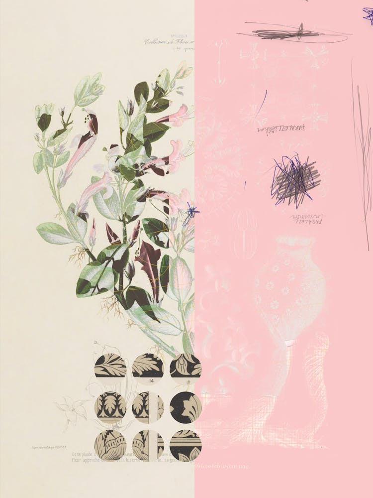 The First Plant · Mix It Up Sunday