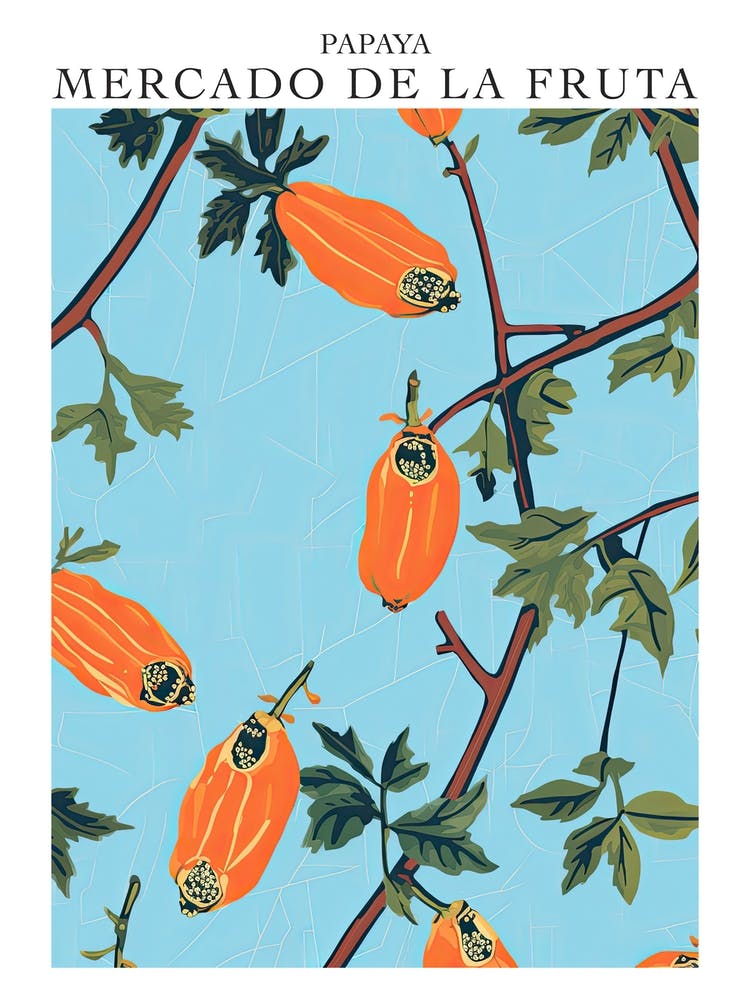 Mercado De La Fruta Papaya Illustration 2 Poster