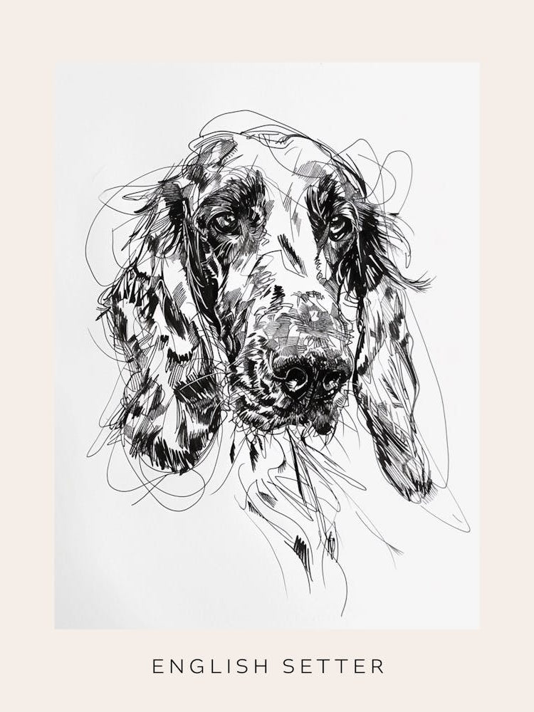 English Setter Dog Line Sketch 2 Poster
