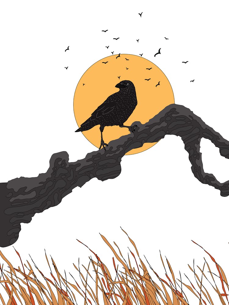 Crow On A Branch 3