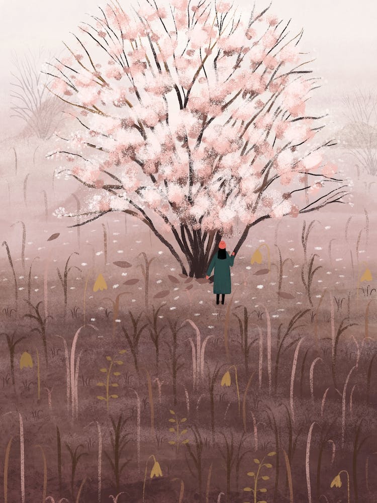 Bloom