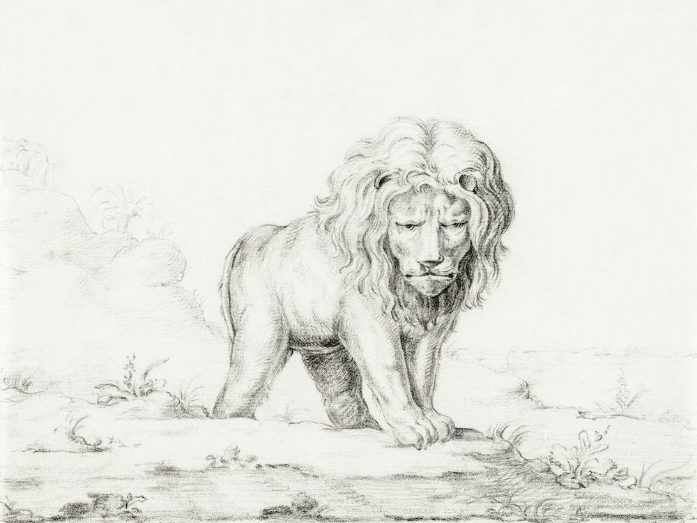 Lion, Jean Bernard