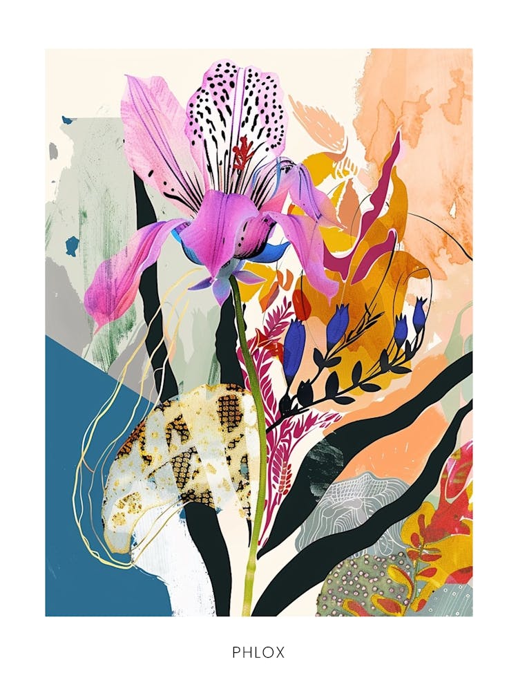 Illustration Florale Colorée - Affiche Phlox 1